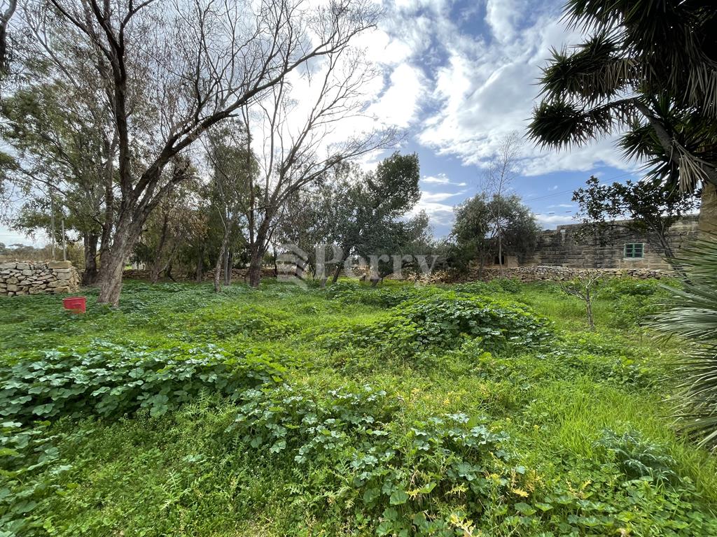 Zabbar - Farmhouse